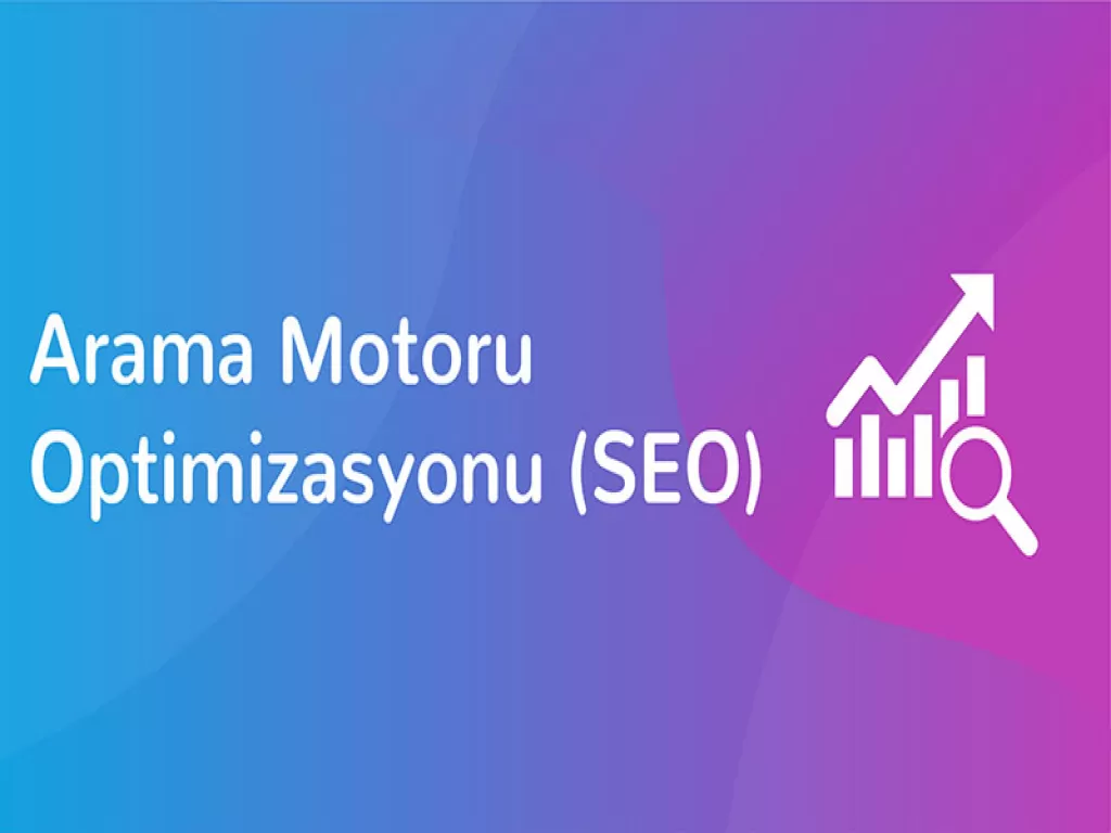 Web Tasarım